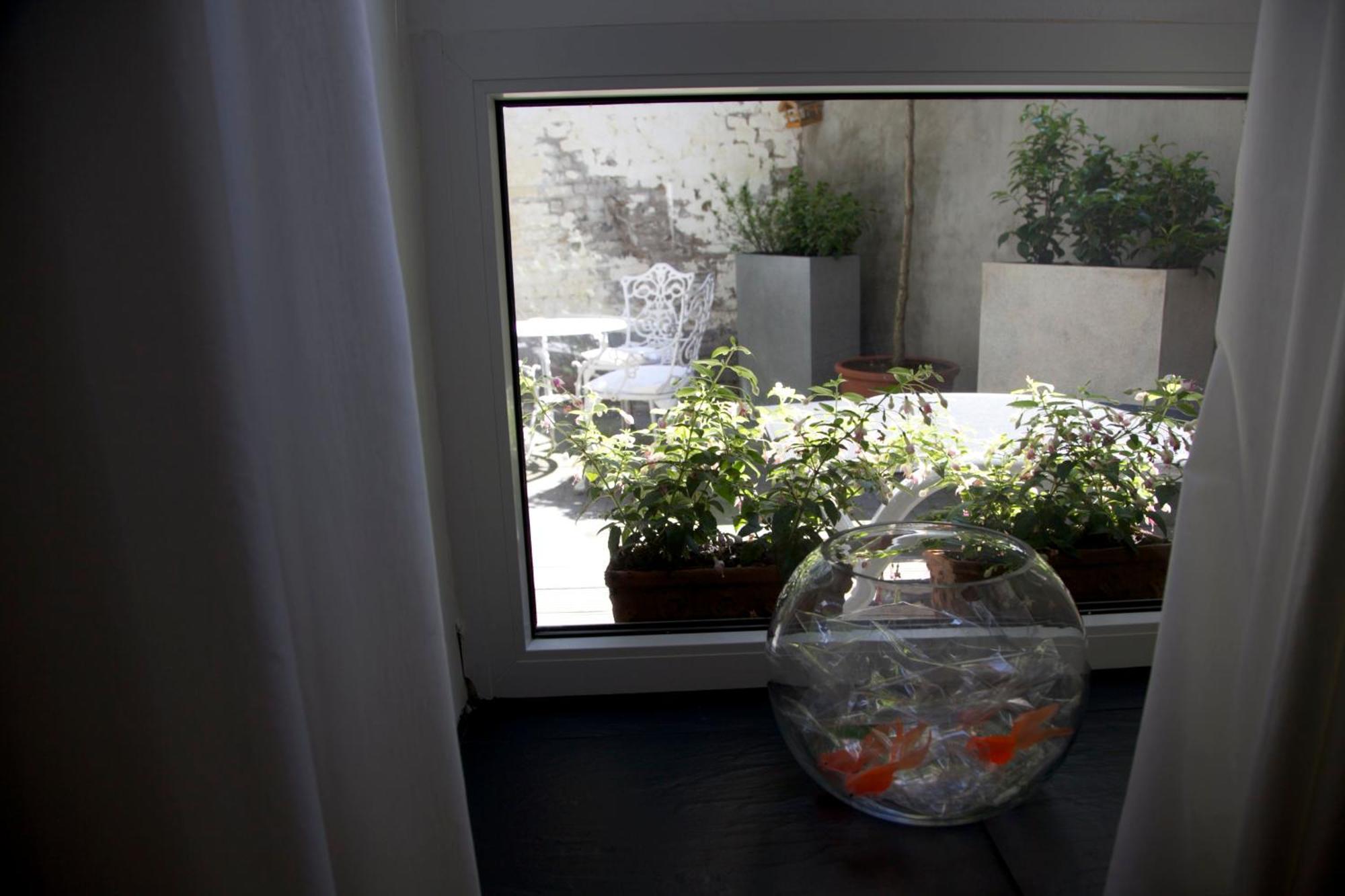 كولونيا Apartment Miro المظهر الخارجي الصورة